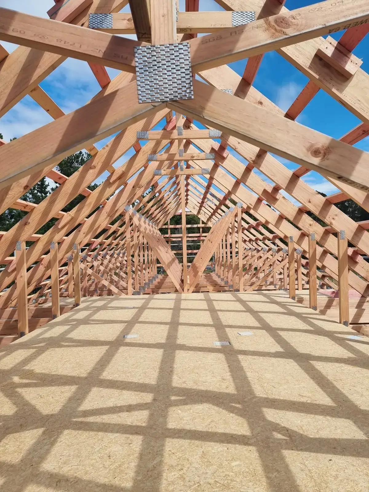 Timber roof framing during the build, Redwood Valley