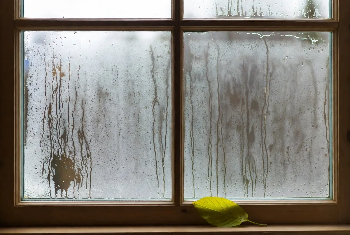 Why So Many NZ Homes Are Cold and Damp, and How to Fix It in a New Build. A Passive House & Building Science guide from Ecotectural Home Builders, Nelson Tasman.