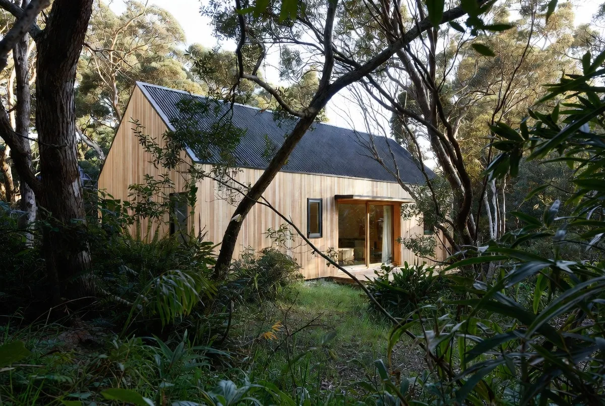 Design and Build vs Traditional Tender: Which Path Should You Choose?. A Choosing Your Builder guide from Ecotectural Home Builders, Nelson Tasman.