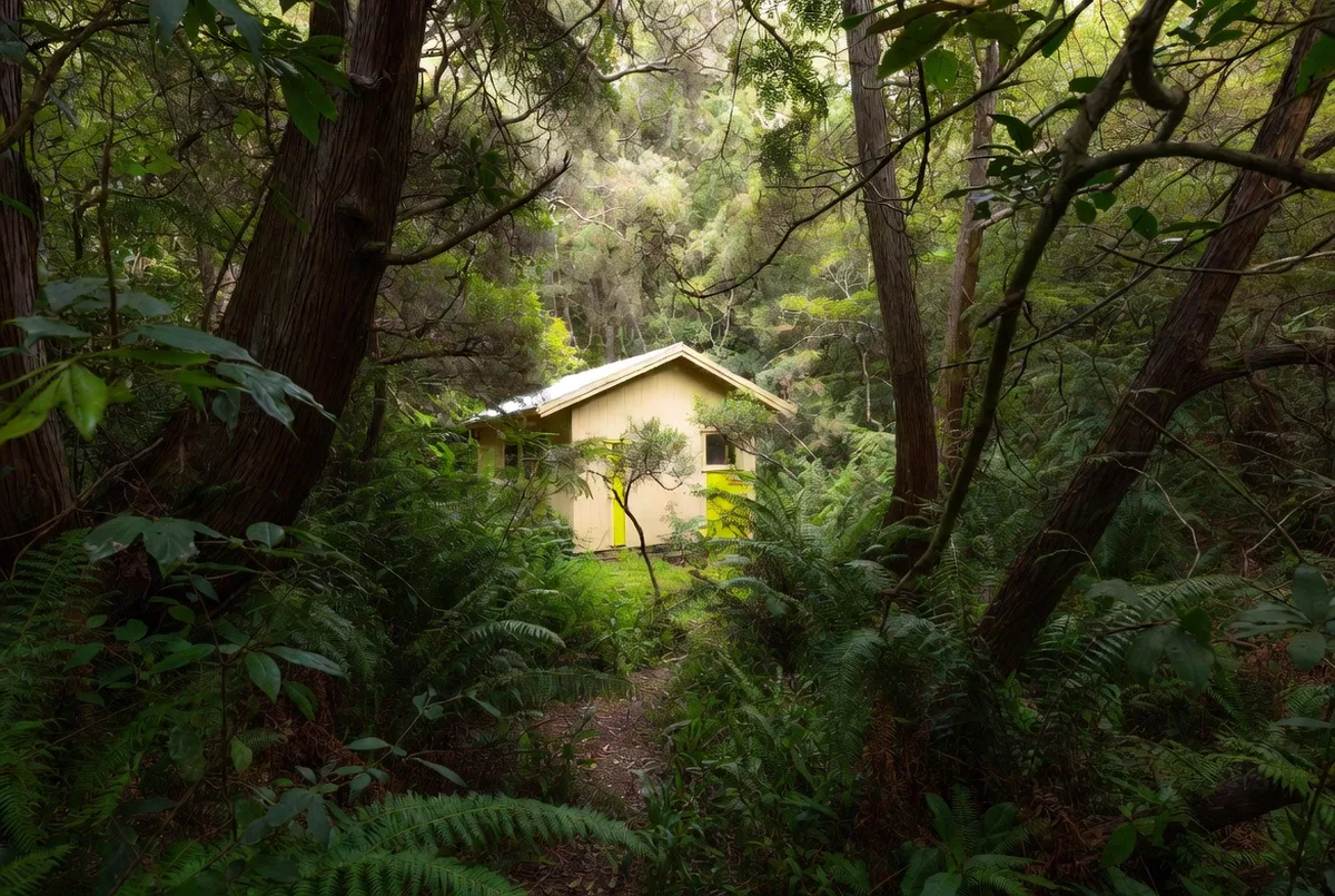 Building a Second Home or Bach in Tasman Without Compromise