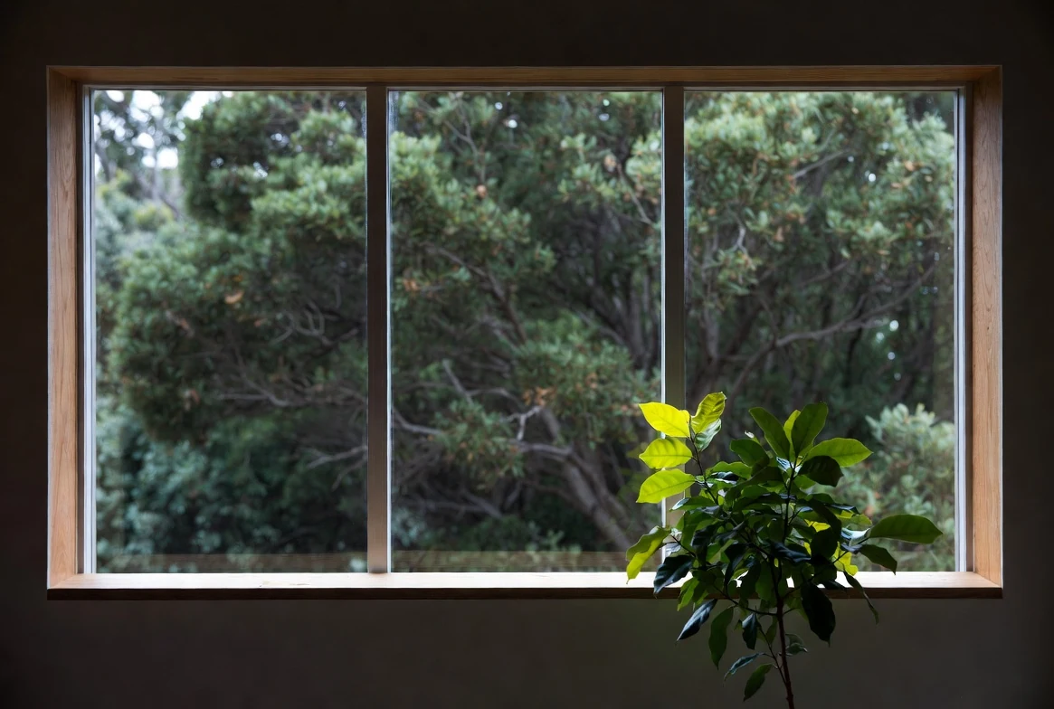 Why So Many NZ Homes Are Cold and Damp, and How to Fix It in a New Build. A Passive House & Building Science guide from Ecotectural Home Builders, Nelson Tasman.