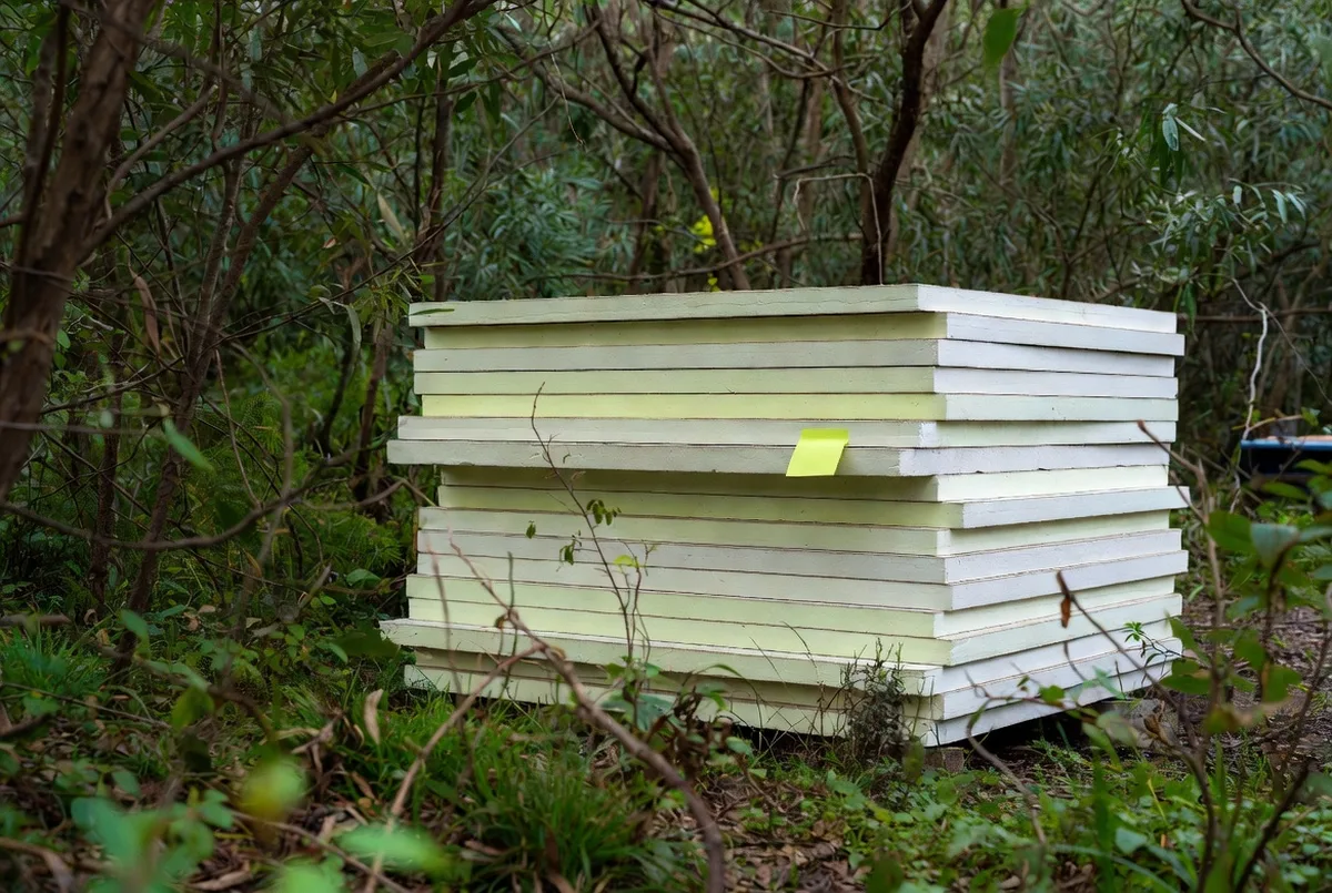 What Are SIPs (Structural Insulated Panels) and Why Use Them?. A Materials & High-Performance Systems guide from Ecotectural Home Builders, Nelson Tasman.